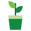 Icon representing to grow