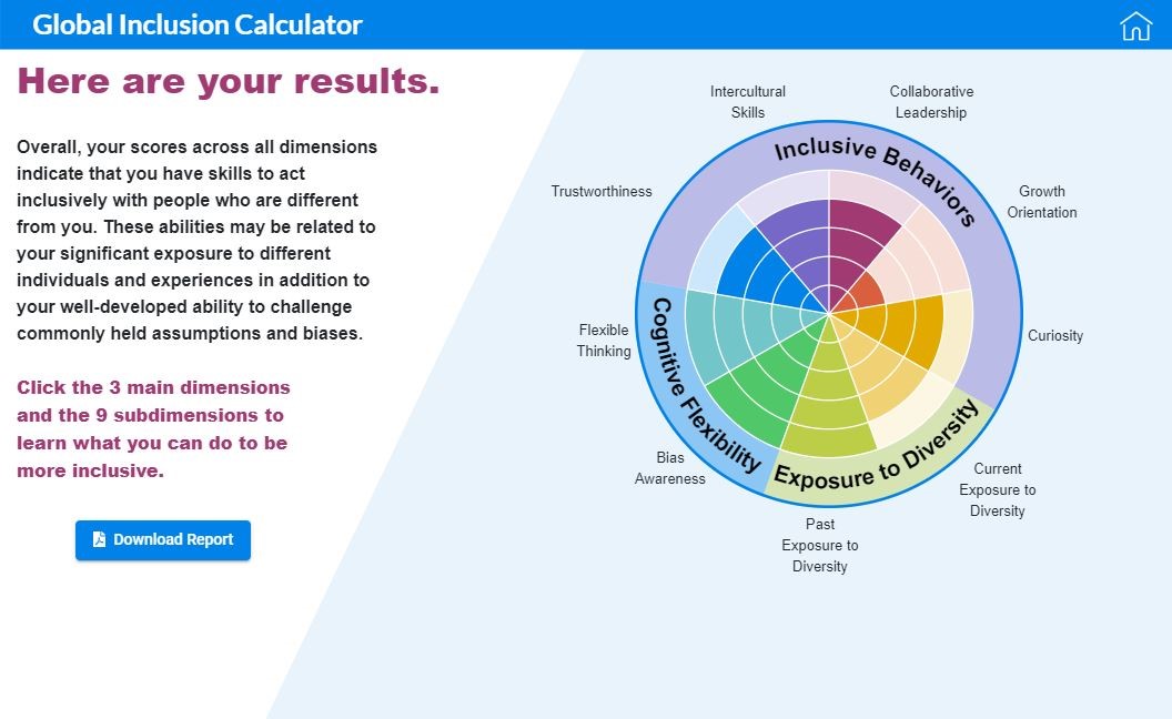Screenshot of Global Inclusion Calculator